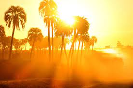 Something that is hot has a high temperature. How To Handle Really Hot Weather
