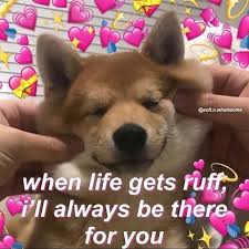 If You Found Me On The Explore Page Give Me A Follow Heartmemes Wholesomememes Wholes Cute Love Memes Love Memes Cute Memes You ran out of bacon. cute love memes