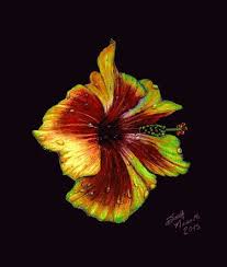 Suzy S Fine Art Black Paper Drawing Color Pencil Art Flower Prints Art
