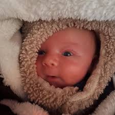 Daniel Castan (@dcast_) • Instagram photos and videos