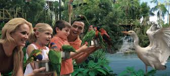 Resultado de imagen de imagenes de loro parque