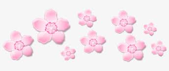 Seekpng provides high quality png images with transparent background. Pink Flower Aesthetic Png Free Transparent Png Download Pngkey