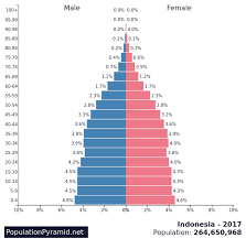 Profil kemampuan pemecahan masalah pada siswa yang memiliki kecerdasan emosional sedang. Indonesia