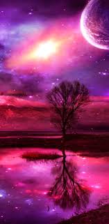 كل شيئ لقتل الملل 1 خلفيات بنفسجية Galaxy Art Night Sky Wallpaper Tree Water Wallpaper
