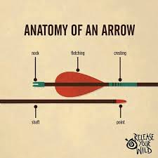 Knowing The Parts Of The Arrow Is Important When Nocking The Arrow And Making Sure The Fetching Is Pointing In The Ri Archery Bows Archery Tips Archery Hunting