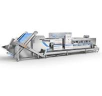 Blueberry AI Intelligent Color Sorting Machine - VSEE