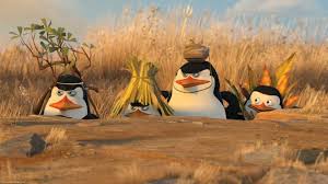 Join facebook to connect with cabito vvs sqll and others you may know. Los Pinguinos De Madagascar Masideas