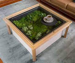 Getting the best has always been and will remain a significant challenge for most people. A Terrarium Coffee Table Didntknowiwantedthat