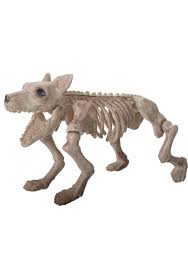 Check out inspiring examples of skeleton_dog artwork on deviantart, and get inspired by our community of talented artists. Largel Dog Skeleton Halloween Prop Dog Skeleton Halloween Decoration