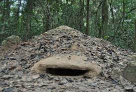 Địa đạo Củ Chi - lổ thông hơi