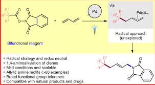 For students with special needs, modifications that consist of individualized learning outcomes or goals must be. Catalytic Radical Generation Of P Allylpalladium Complexes Nature Catalysis