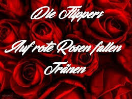 I am fun i am pretty i am beautiful i'm a queen. Die Flippers Auf Rote Rosen Fallen Tranen Youtube Apprendre L Anglais Amour En Anglais Anglais
