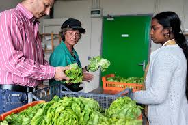 Association Aurore Inser Eco 93