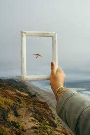 Find & download the most popular free stock photos over 9,115,000+ on freepik free for commercial use high resolution images made for creative projects. Holding Frame Pictures Download Free Images On Unsplash