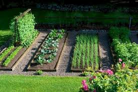 45 Affordable Diy Design Ideas For A Vegetable Garden My Desired Home Vegetable Garden Design Garden Layout Vegetable Garden Planner