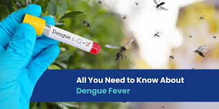 Image result for Dengue