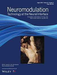 Neuromodulation Technology At The Neural Interface Vol 22 No 6