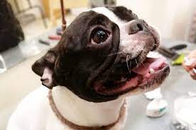 Маникюр и педикюр