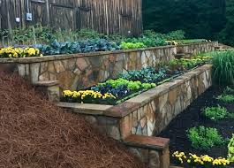 Maybe you would like to learn more about one of these? Garden Basics What Is An Annual What Is A Perennial And Why Does It Matter