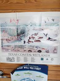 Matagorda Bay Nature Park 2019 All You Need To Know Before