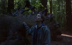 Lolek, a young holocaust survivor ,arrives in israel and thrown in the middle. With Oscar Winning Actress Nomadland Gets Subtitled Trailer Watch Entertainment Prime Time Zone