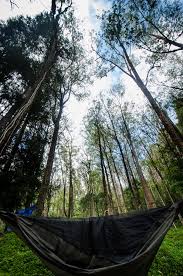 30 best cameron highlands hotels free cancellation 2021 price lists reviews of the best hotels in cameron highlands malaysia. Ramonfadli Com Pauh Campsite Cameron Highlands