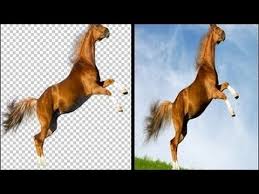 الدرس 1 طريقة قص الصورة بإحتراف دمجها مع خلفية Photoshop Cs6 Youtube Horses Movie Posters Animals
