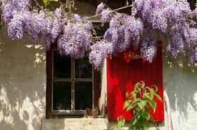La Maison Aux Volets Rouges Volets Rouges Volet Volet Fenetre