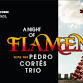 A Night of Flamenco with the Pedro Cortés Trio event in Rahway, NJ