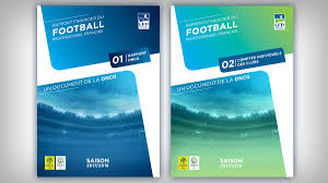 France » ligue 1 2017/2018 » top scorer. Ce Que Dit Le Rapport Financier De La Dncg Sur Le Business Des Clubs De Ligue 1 Et Ligue 2 2017 2018 Sportbuzzbusiness Fr