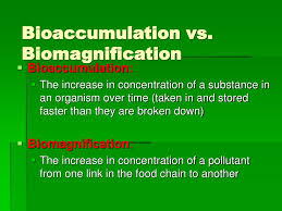 Ppt Bioaccumulation And Biomagnification Powerpoint Presentation Free Download Id 466517