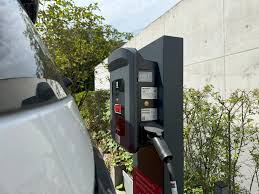 Dejarennae coomer i might argue most of these things are