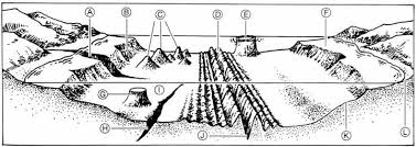 Ocean Floor Diagram Worksheet Free Worksheets Library Download Flooring Ocean Worksheets