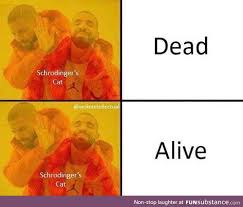 You Need A Phd In Quantum Memes To Understand This One Funsubstance Science Memes Physics Memes Funny Facts