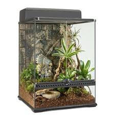 Mijn naam is daisy en ik ben heldervoelend, tevens doe ik aan kaartlegging met inzicht en ter bevestiging gebruik ik de pendel om mijn antwoord te bekrachtigen. Reptile Supplies Wxdxh Exo Terra Medium Wide Terrarium 24 X 18 X 18 Pet Supplies