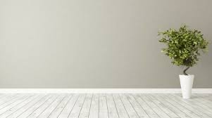 Maybe you would like to learn more about one of these? Le 15 Piante Da Interno Super Resistenti Prima Parte Fito