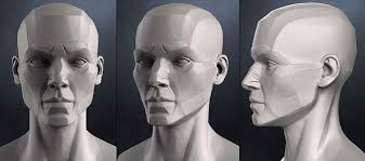 Planes Of The Head Female 3d Model In 2020 Face Drawing 3d Model Sketches