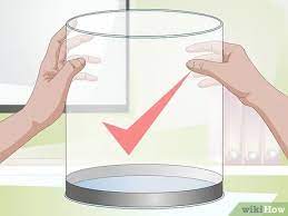 Jellyfish are becoming the next trend in ornamental aquariums and jellyfish art is the leader in supplying live jellyfish and their specialized aquariums and products. How To Start A Jellyfish Tank With Pictures Wikihow