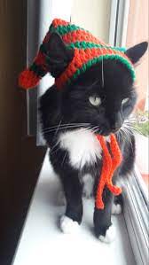 Elf Cat Hat Elf Hat For Cats Cat Elf Hat Christmas Cat Hat Katzen Hut Kittens Elf Hat Elf Small Dog Hat Christmas Costume Cat Hat Dog Hat Cat Christmas Costumes Christmas Cats Pet Costumes