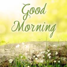 40 Good Morning Messages For Him True Love Words Good morning and do have a wonderful day ahead. 40 good morning messages for him true