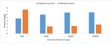 American leak detection asub kohas mount washington. Leakage Of Co 2 From Geological Storage And Its Impacts On Fresh Soil Water Systems A Review Springerlink