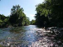 Problématique de l'anguille en vendée. A La Decouverte Des Rivieres De L Aude Infos Pratiques Travelers And Fish