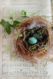 Jul 07, 2017 · we have implemented one additional experiment this year, adding a new osprey nest platform atop nearby porthole lodge, the tallest building on hog island. 43 Making Fake Bird Nests For Decorating Ideas In 2021 Fake Birds Spring Crafts Spring Decor