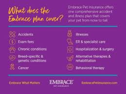Tailor a pet insurance policy to meet your budget and your pets needs. Embrace Pet Insurance Our Review Dog Endorsed