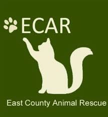San diego pet hospital has been proudly serving our community since the forties. East County Animal Rescue