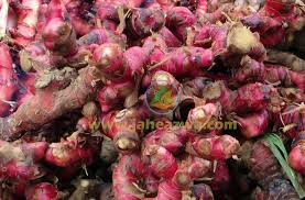 Jahe Merah Instan Jahe Merah Herbal