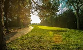 The Greens At Apple Mountain Saginaw Cobblestone