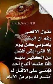 تقول الأفعى