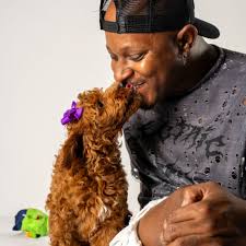 TOP 10 BEST The Dog Gym in Houston, TX