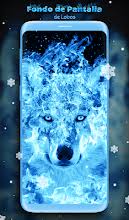 Brown and black wolf digital wallpaper, artwork, planet, space. Fondo De Pantalla En Movimiento De Lobos Apps En Google Play